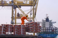 Bốc xếp hàng hóa tại Cảng Tiên Sa, Đà Nẵng. (Ảnh: Trần Lê Lâm/TTXVN)