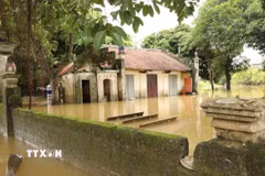 Nước lũ đang rút tại khuôn viên đình Ngọc Nhị, thôn Gia Thủy, xã Gia Tường. (Ảnh: Đức Phương/TTXVN)