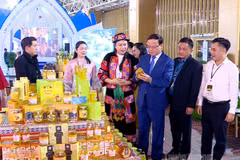 Ông Nguyễn Mạnh Tuấn, Ủy viên Ban Thường vụ Tỉnh ủy, Phó Chủ tịch Thường trực UBND tỉnh Tuyên Quang thăm gian hàng của tỉnh tại Hội chợ mùa Thu. (Ảnh: Cổng thông tin điện tử tỉnh Tuyên Quang)