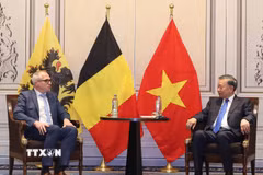 Tổng Bí thư, Chủ tịch nước Tô Lâm tiếp Bộ trưởng, Thủ hiến vùng Flanders Matthias Diependaele. (Ảnh: Thống Nhất/TTXVN)