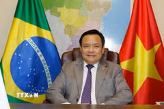 Đại sứ Việt Nam tại Brazil Bùi Văn Nghị. (Ảnh: Đại sứ quán Việt Nam tại Brazil)