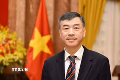 Đại sứ Việt Nam tại CH Séc, ông Dương Hoài Nam. (Ảnh: TTXVN phát)