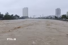 Nước lũ trên sông Cái Nha Trang (Khánh Hòa) dâng cao tháng 11/2025. (Ảnh: Nguyễn Thành/TTXVN)