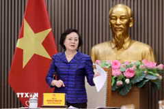 Phó Thủ tướng Phạm Thị Thanh Trà, Trưởng Ban Công tác liên ngành đối ngoại và hội nhập quốc tế về Văn hóa, Xã hội, Giáo dục-Đào tạo phát biểu. (Ảnh: An Đăng/TTXVN)