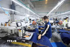 Ảnh minh họa. (Ảnh: Tuấn Anh/TTXVN)