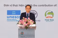 Đồng chí Lê Hoài Trung, Ủy viên Bộ Chính trị, Bộ trưởng Bộ Ngoại giao phát biểu. (Ảnh: Khánh Hòa/TTXVN)