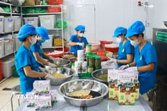 Lao động nữ tại một hợp tác xã. (Ảnh: Tường Vi/TTXVN)