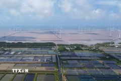 Các dự án điện gió hoạt động ven biển Đông tại xã Vĩnh Hậu, tỉnh Cà Mau. (Ảnh: Tuấn Phi/TTXVN)