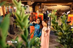 Chương trình "Tết Việt – Tết Phố" 2026 diễn ra từ ngày 17/1 đến ngày 17/3/2026 tại nhiều địa điểm trong khu phố cổ và khu vực hồ Hoàn Kiếm. (Ảnh: Thanh Tùng/TTXVN)