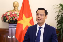 Thứ trưởng Đặng Hoàng Giang. (Ảnh: TTXVN phát)