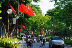 Dọc những tuyến phố trung tâm Hà Nội, cờ đỏ sao vàng rực rỡ giữa những vòm cây xanh, hòa cùng nhịp sống thường ngày của người dân trong sáng Quốc khánh 2/9, tạo nên một diện mạo Thủ đô vừa bình yên, vừa trang trọng trong ngày kỷ niệm 81 năm Quốc khánh. (Ảnh: Phạm Tuấn Anh/TTXVN)