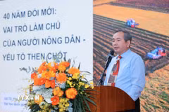 GS.TS Phạm Hồng Tung trình bày tham luận tại Tọa đàm "Giai cấp nông dân Việt Nam - 40 năm Đổi mới: Từ khát vọng trên đồng ruộng tới kỷ nguyên vươn mình" ở Hà Nội, ngày 28/5 .(Ảnh: Hoàng Hiếu/TTXVN)
