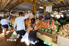 Người tiêu dùng mua hàng hóa trong chợ nông sản 19B ở La Habana. (Ảnh: Ngọc Duy/TTXVN)
