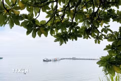 Bờ biển đảo Lý Sơn. (Ảnh: Phạm Cường/TTXVN)