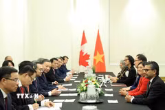Tổng Bí thư, Chủ tịch nước Tô Lâm tiếp Nhóm Nghị sỹ hữu nghị Canada - Việt Nam. (Ảnh: Thống Nhất/TTXVN)