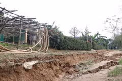 Tình hình sạt lở ăn vào sát nhà dân. (Ảnh: Tường Vi/TTXVN)