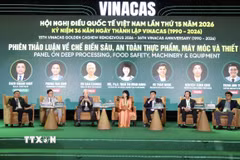 Các doanh nghiệp, chuyên gia thảo luận định hướng phát triển ngành điều tại hội thảo. (Ảnh: Xuân Anh/TTXVN)