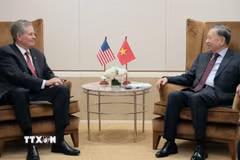 Tổng Bí thư, Chủ tịch nước Tô Lâm tiếp Thượng nghị sỹ Hoa Kỳ Steve Daines. (Ảnh: Thanh Tuấn/TTXVN)