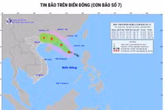 (Nguồn: nchmf)