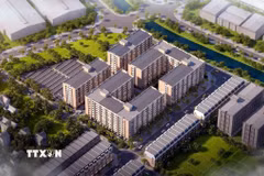 (Ảnh minh họa: Nguyễn Công Hải/TTXVN)