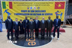 Đoàn đại biểu do Đại sứ Trần Quốc Khánh và Chủ tịch WVVF Mai Hữu Tín dẫn đầu cùng các lãnh đạo của USV tại lễ khai mạc vòng chung kết. (Ảnh: TTXVN phát)