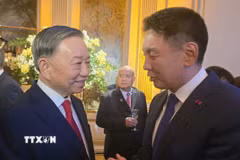 Tổng Bí thư, Chủ tịch nước Tô Lâm gặp Tổng thống Mông Cổ Ukhnaagiin Khürelsükh. (Ảnh: TTXVN)