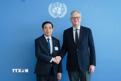 Phó Thủ tướng, Bộ trưởng Quốc phòng Phan Văn Giang hội kiến Phó Tổng Thư ký Liên hợp quốc phụ trách hoạt động gìn giữ hòa bình Jean-Pierre Lacroix. (Ảnh: Đoàn Hùng/TTXVN)