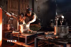 Hợp tác xã Nông sản Liên Minh, tỉnh Thái Nguyên, ổn định việc làm cho hàng trăm hội viên. (Ảnh: Trần Việt/TTXVN)