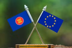 (Nguồn: aseanbriefing.com)