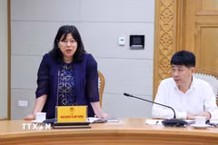 Thứ trưởng Bộ Nông nghiệp và Môi trường Nguyễn Thị Phương Hoa Ủy viên Ban Chỉ đạo thay thế ông Lê Công Thành. (Ảnh: Văn Điệp/TTXVN)