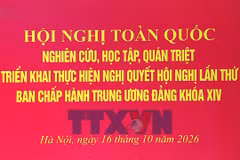 Tổng Bí thư, Chủ tịch nước Tô Lâm: Chủ trương đúng phải trở thành năng lực phát triển thực chất