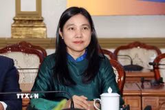 Bà Hà Thanh, Chủ tịch Liên hiệp các tổ chức hữu nghị Thành phố, Chủ nhiệm Hội đồng tư vấn Hội nhập Quốc tế - Đối ngoại nhân dân và Kiều bào thuộc Ủy ban Mặt trận Tổ quốc Việt Nam TP Hồ Chí Minh, rất đồng tình với nội dung Nghị quyết số 23-NQ/TW. (Ảnh: Xuân Khu/TTXVN)