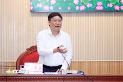 Thứ trưởng Bộ Nội vụ Trương Hải Long phát biểu chỉ đạo tại buổi làm việc. (Ảnh: Huỳnh Anh/TTXVN)