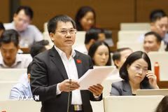 Đại biểu Quốc hội tỉnh Lâm Đồng Dương Khắc Mai phát biểu. (Ảnh: Doãn Tấn/TTXVN)