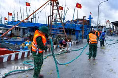 Cán bộ, chiến sỹ Đồn Biên phòng cửa khẩu cảng Cửa Lò - Bến Thuỷ (Bộ đội Biên phòng tỉnh Nghệ An) hỗ trợ ngư dân thu dọn ngư lưới cụ. (Ảnh: TTXVN phát)