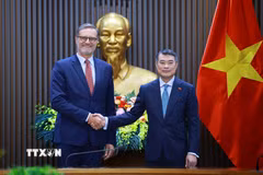 Thủ tướng Lê Minh Hưng tiếp Đại sứ Cộng hòa Pháp Olivier Brochet đến chào kết thúc nhiệm kỳ công tác tại Việt Nam. (Ảnh: Dương Giang/TTXVN)