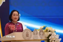 Phó Chủ tịch Quốc hội Nguyễn Thị Thanh phát biểu tại phiên thảo luận chung của Hội nghị. (Ảnh: Minh Hưng/TTXVN)
