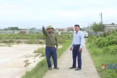 Thanh Hóa: Nhiều đồng muối bỏ hoang do diêm dân bỏ nghề