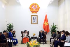 Phó Thủ tướng Trần Hồng Hà tiếp Trưởng đại diện WTO và Trưởng đại diện UNDP tại Việt Nam. (Ảnh: Tuấn Anh/TTXVN)
