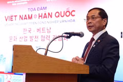 Phó Thủ tướng, Bộ trưởng Ngoại giao Việt Nam Bùi Thanh Sơn phát biểu tại Tọa đàm. (Nguồn: Báo Chính phủ)