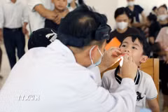 Ảnh minh họa. (Nguồn: TTXVN)