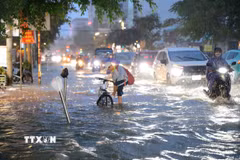 Triều cường gây ngập nhiều đường phố ở Cần Thơ. (Ảnh: Thanh Liêm/TTXVN)