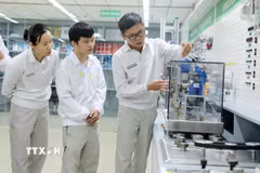 Hướng dẫn, chuyển giao công nghệ tại Nhà máy Bông Sen (Khu Công nghiệp Thăng Long II- Hưng Yên). (Ảnh: Mạnh Khánh/TTXVN)