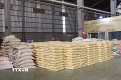 Thành phố Cần Thơ có khoảng 390.000ha sản xuất lúa, sản lượng 4,6 triệu tấn lúa tương đương khoảng 3 triệu tấn gạo. (Ảnh: Tuấn Phi/TTXVN)