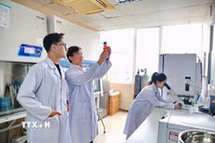Các văn kiện lần này nhấn mạnh sâu sắc vai trò của giáo dục-đào tạo, khoa học-công nghệ, đổi mới sáng tạo. (Ảnh: Diệu Thúy/TTXVN)