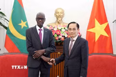 Bộ trưởng Bộ Ngoại giao Lê Hoài Trung và Bộ trưởng, Tổng Thư ký Chính phủ Cộng hòa Hồi giáo Mauritania Moctar Al Housseynou Lam. (Ảnh: An Đăng/TTXVN)