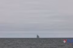 Hải quân Nga diễn tập phòng không, bắn tên lửa Pantsir-M ở Biển Baltic