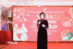 Tổng Lãnh sự Việt Nam tại Hong Kong và Macau Lê Đức Hạnh phát biểu chúc mừng xuân mới cộng đồng người Việt tại Hong Kong. (Ảnh: Xuân Vịnh/TTXVN)