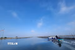Khung cảnh bình yên vùng đầm phá Tam Giang-Cầu Hai xứ Huế. (Ảnh: Mai Trang/TTXVN)