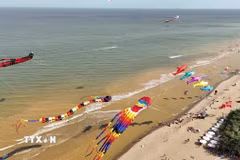 Festival diều trên biển Sầm Sơn thu hút sự quan tâm của du khách. (Ảnh: TTXVN phát)